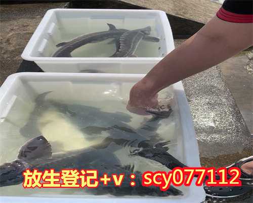惠州野生鱼放生，惠州哪里可以放生鳝鱼的，惠州九月哪天放生最好