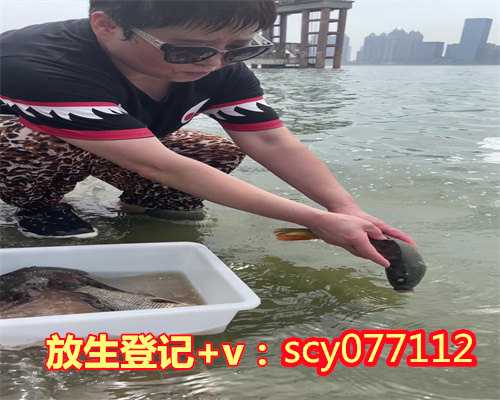 重庆何地可以放生草龟，一位重庆美女的因果故事